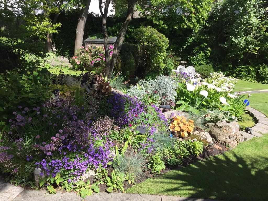 Image 12