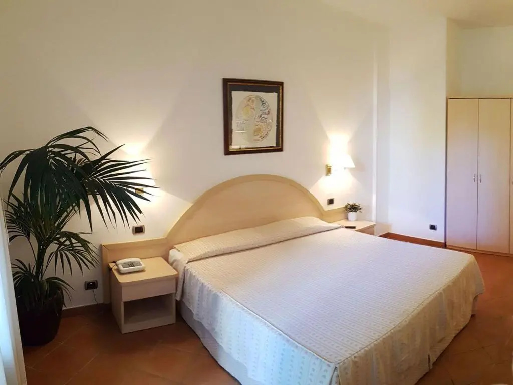 Standard Double room (full double bed)