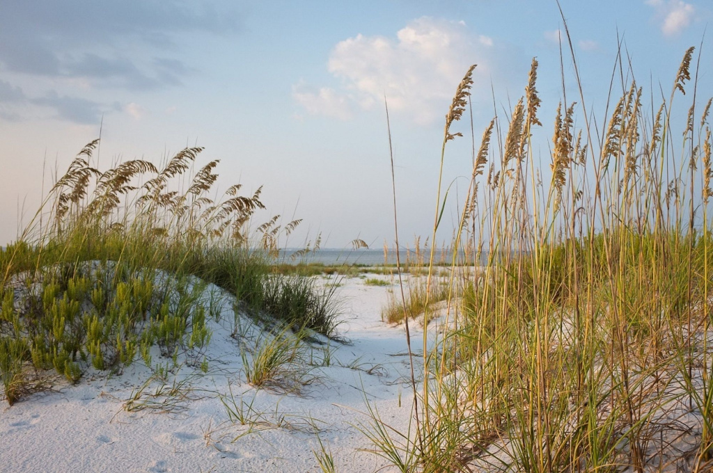 Beach & Waterfront