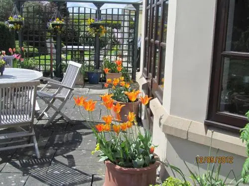 Balcony & Terrace