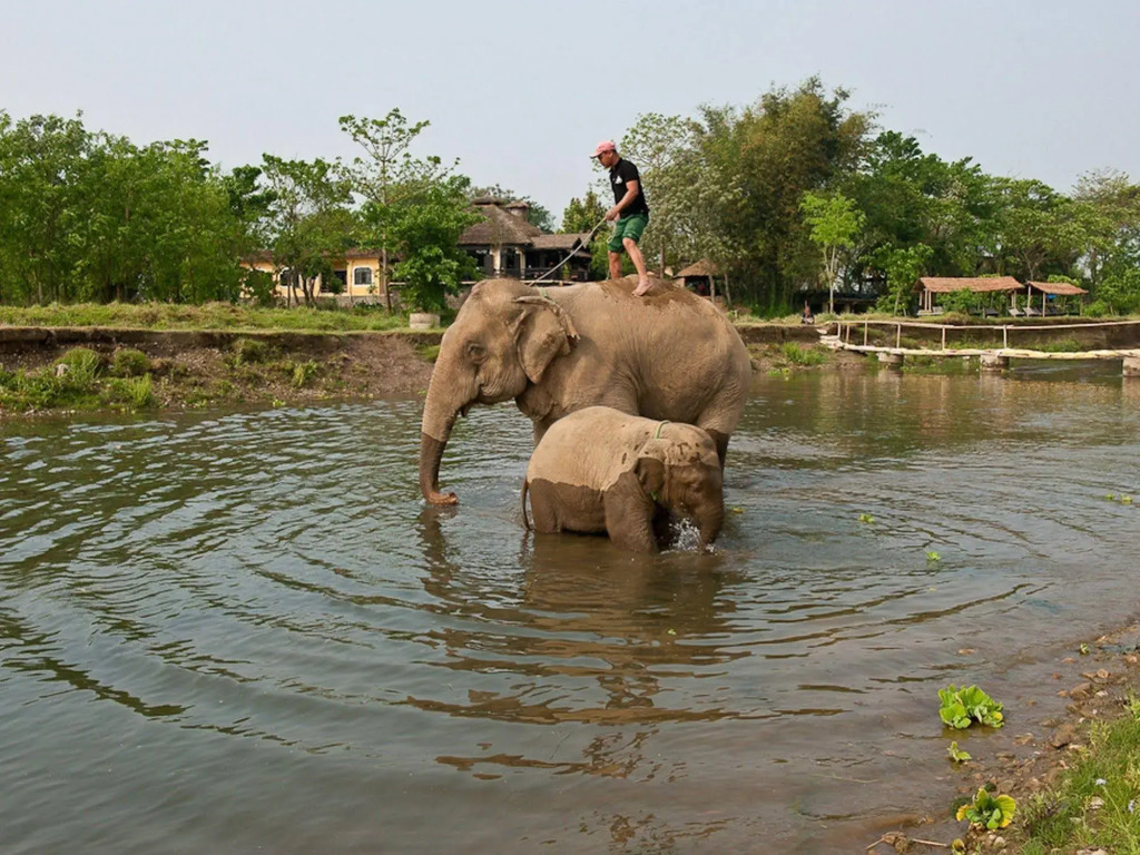 Sapana Village Lodge - фото 30