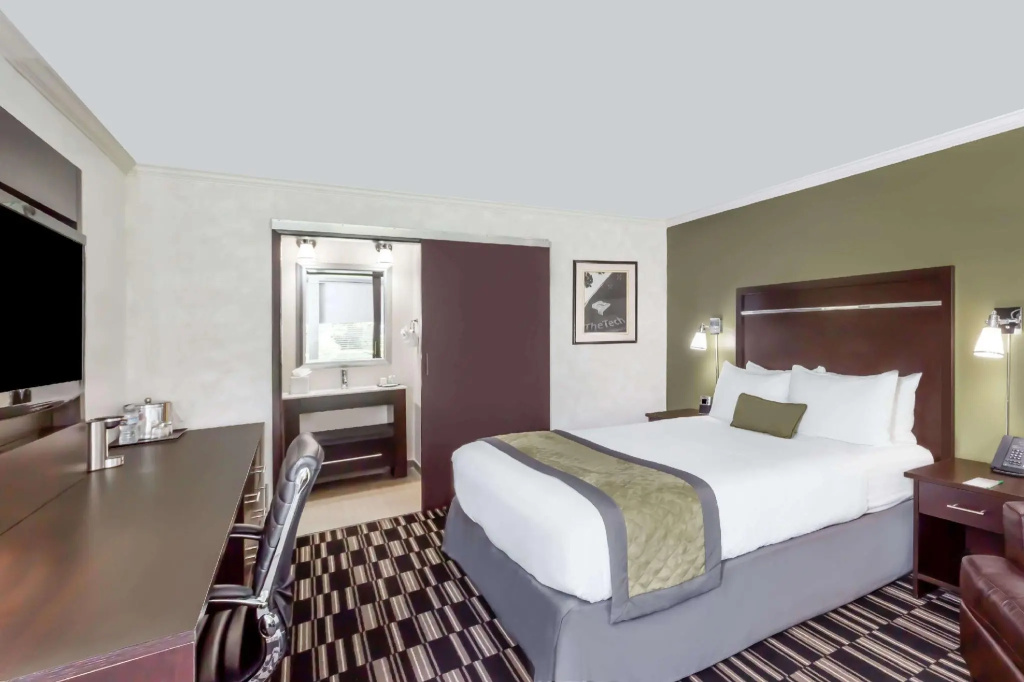 Uptown Oasis San Jose Airport - Chambres
