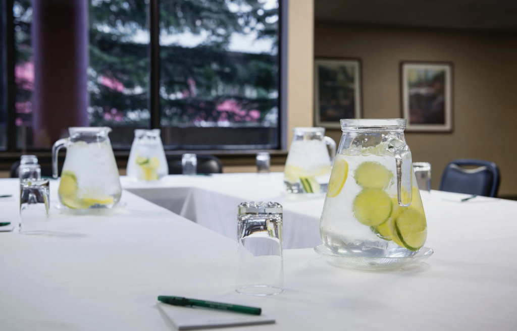 Whistler Village Inn And Suites - Général