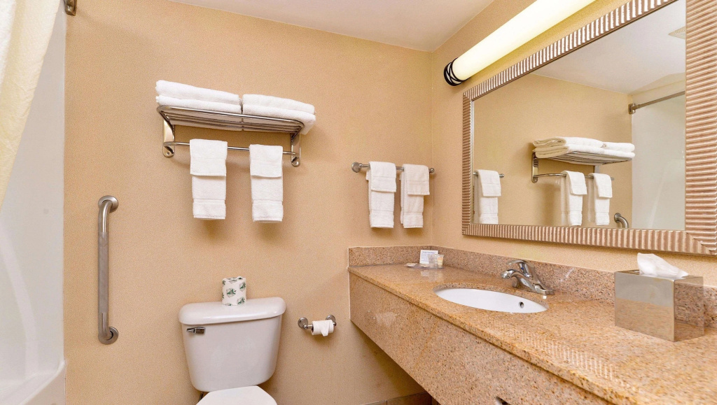 Executive Inn & Suites - фото 7