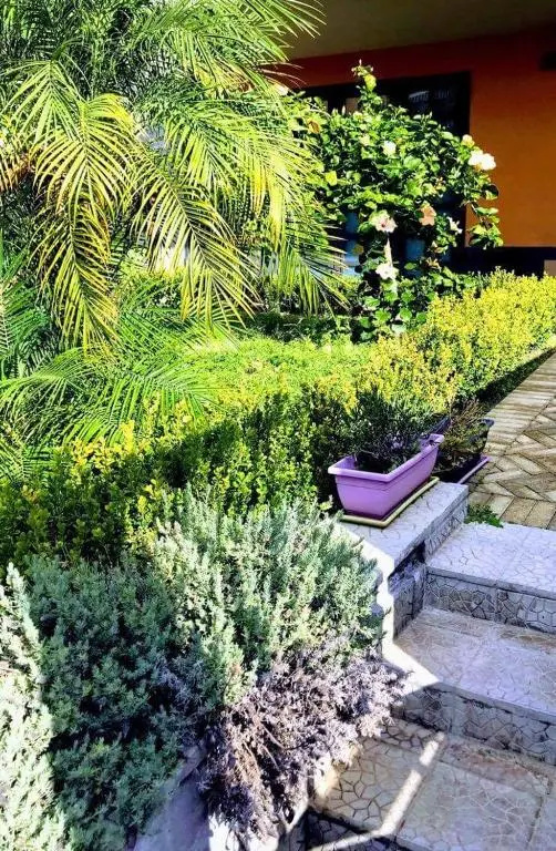 Sandel home