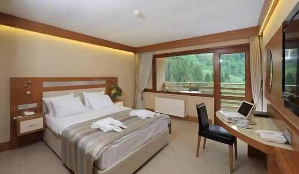 Одноместный номер Standard с видом на горы в Kaçkar Resort Hotel