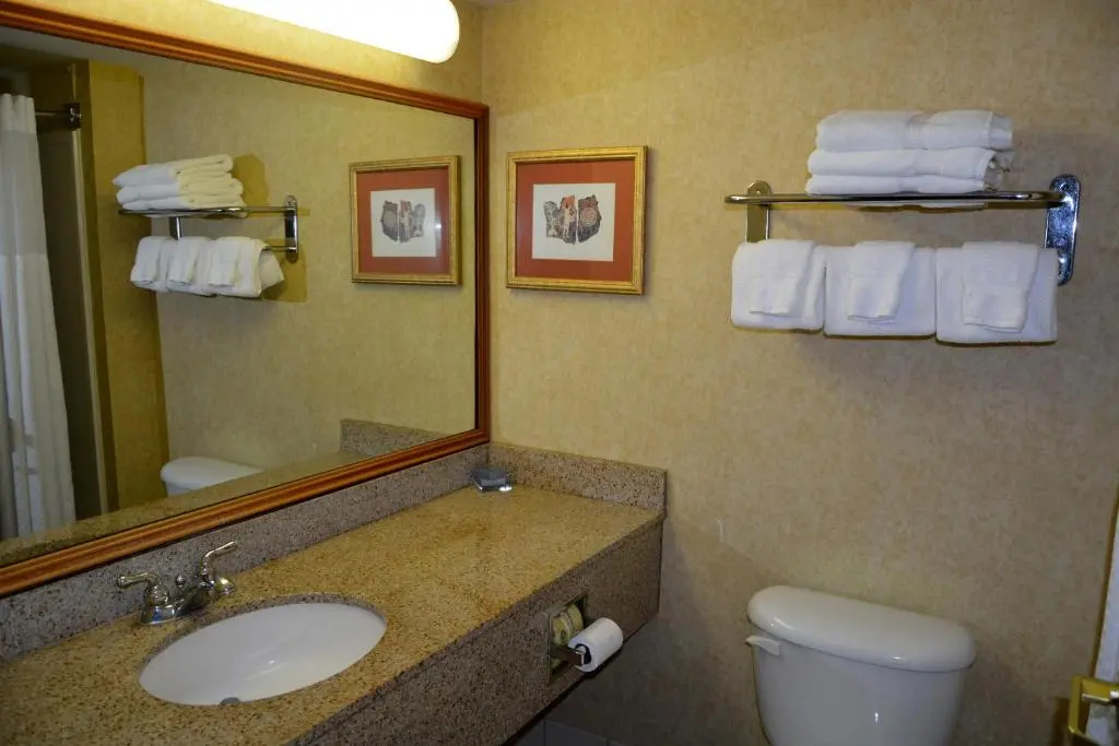 Wingate by Wyndham West Monroe - Chambres
