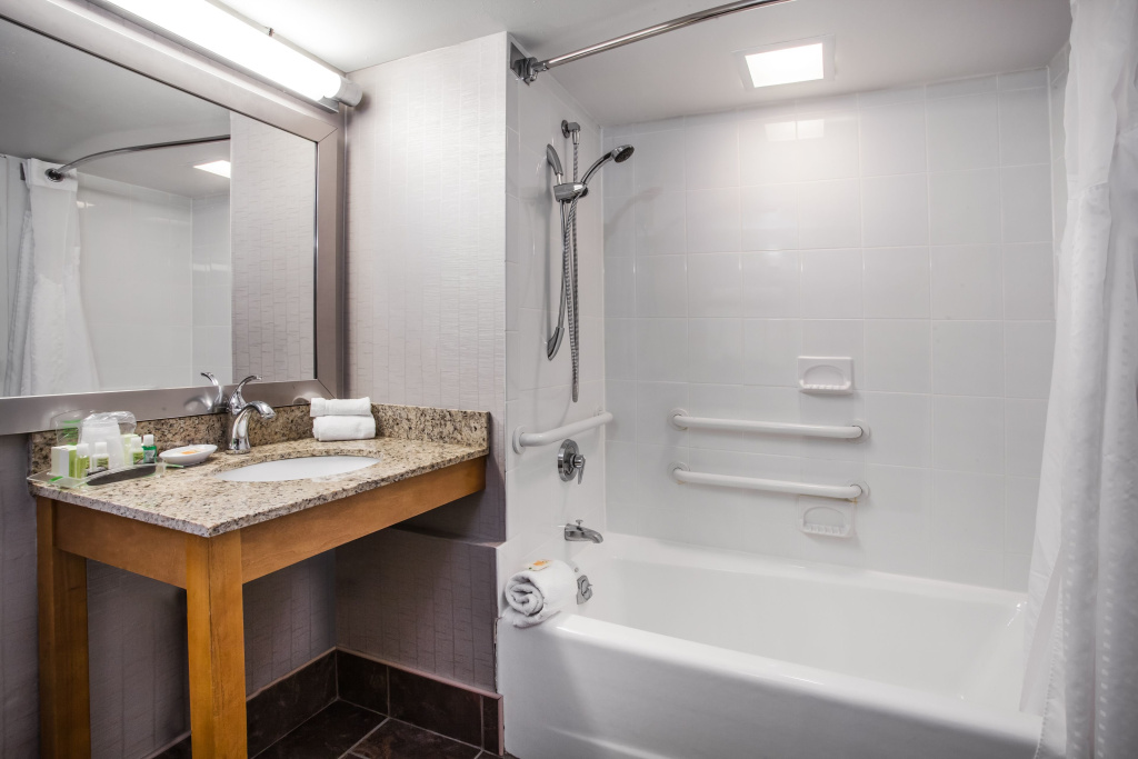 Holiday Inn Saratoga Springs by IHG - Général