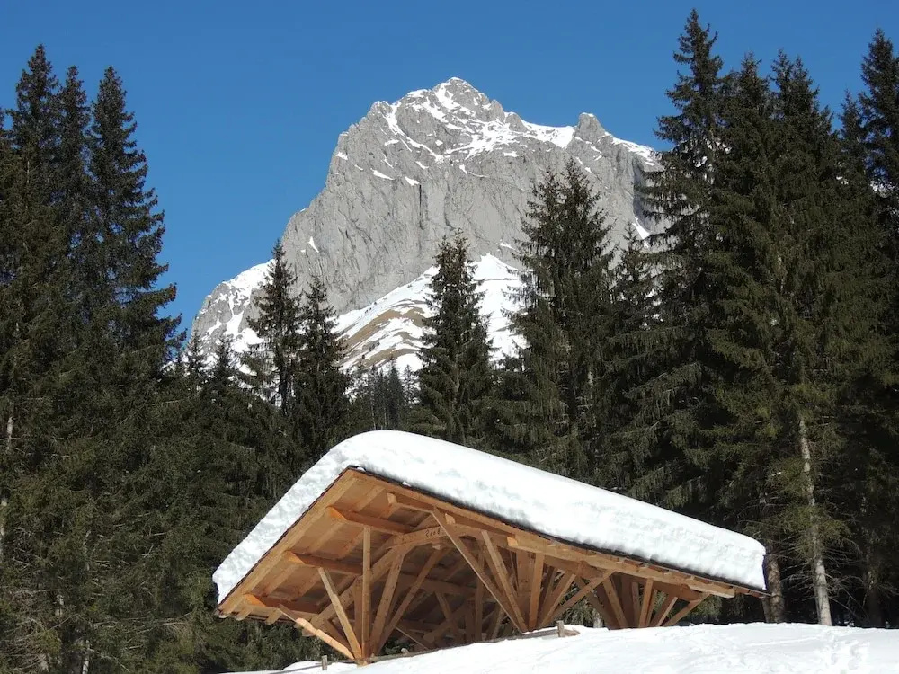 Voir la photo 1 — Le Cairne Residence