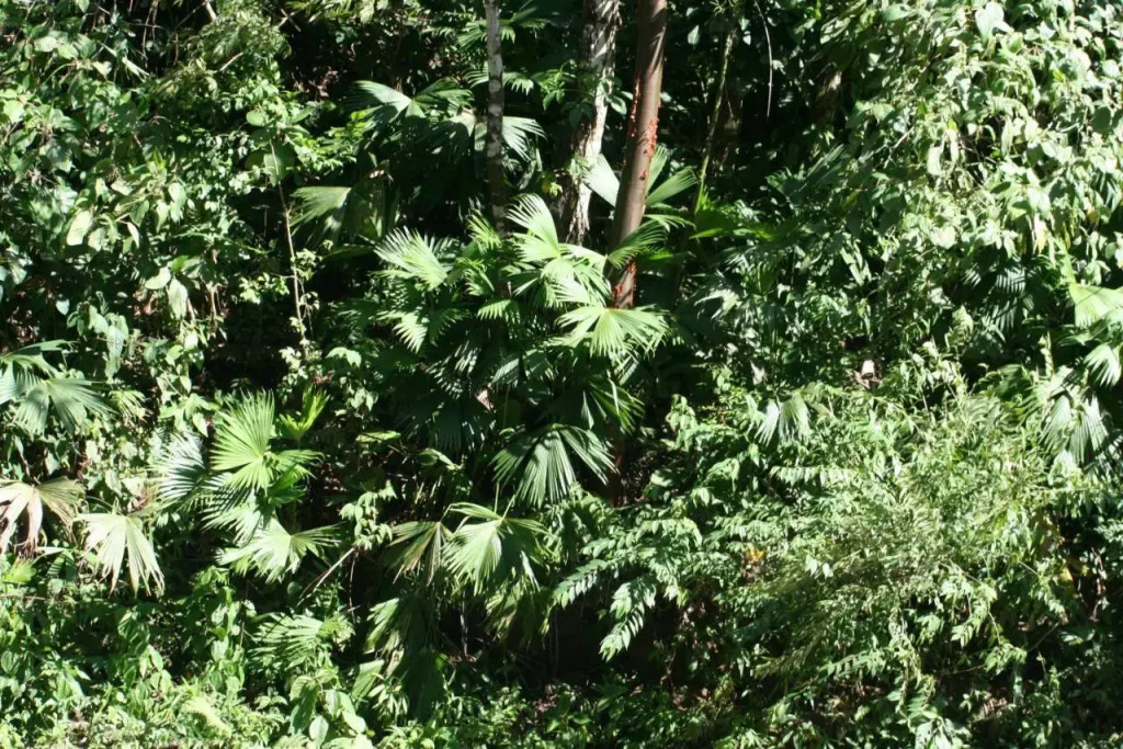 Sol Pacifico Lodge - фото 7