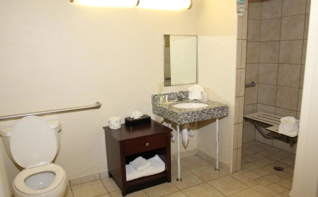 Holiday Inn St Petersburg N - Clearwater by IHG - Général