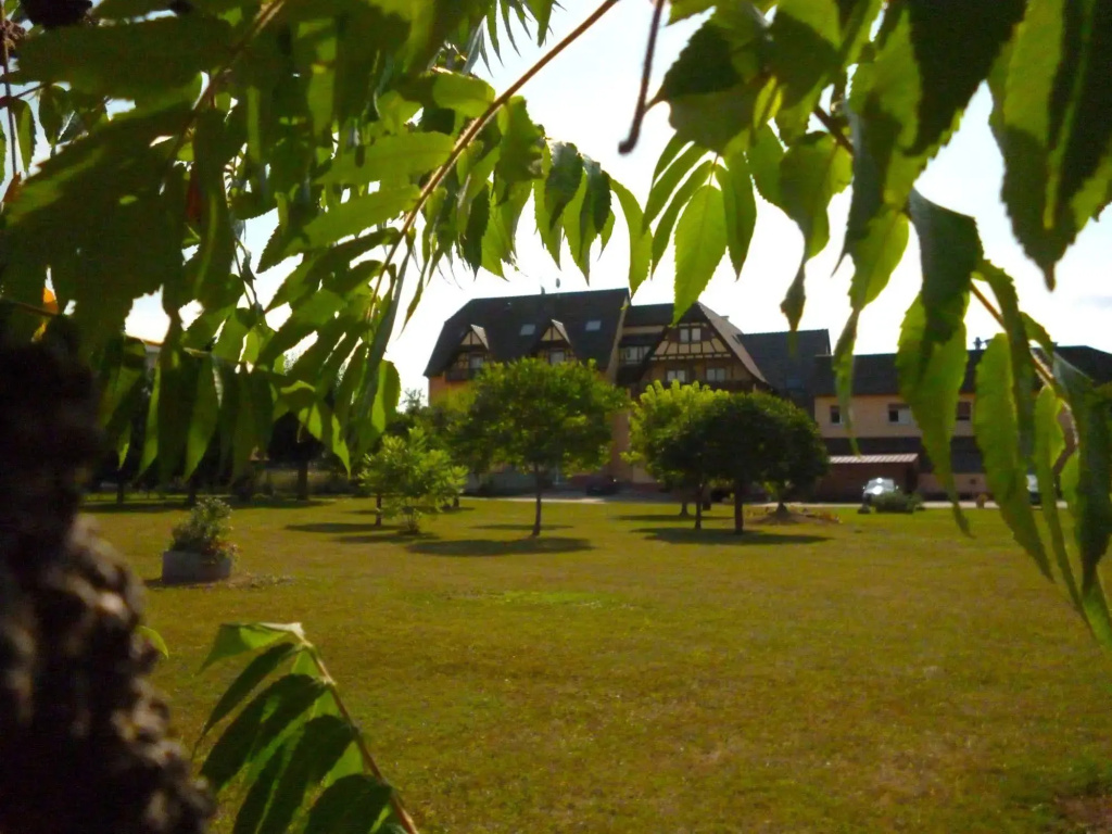 Hotel Au Cep de Vigne - Général