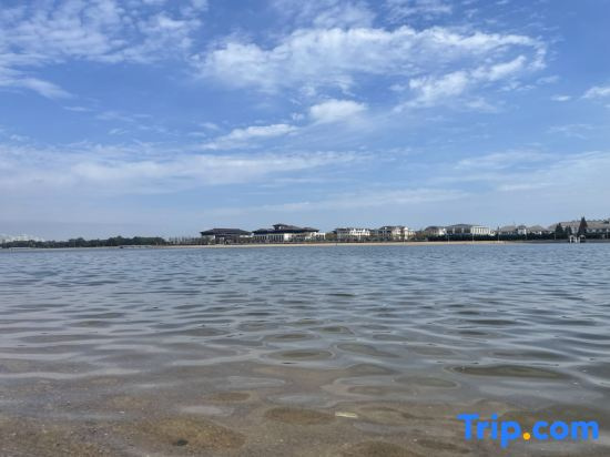 Beach & Waterfront