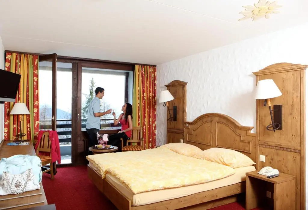 Standard Double room (full double bed)