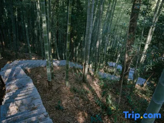 Youtangu Holiday Hotel (Huangshan Huizhou) - фото 4