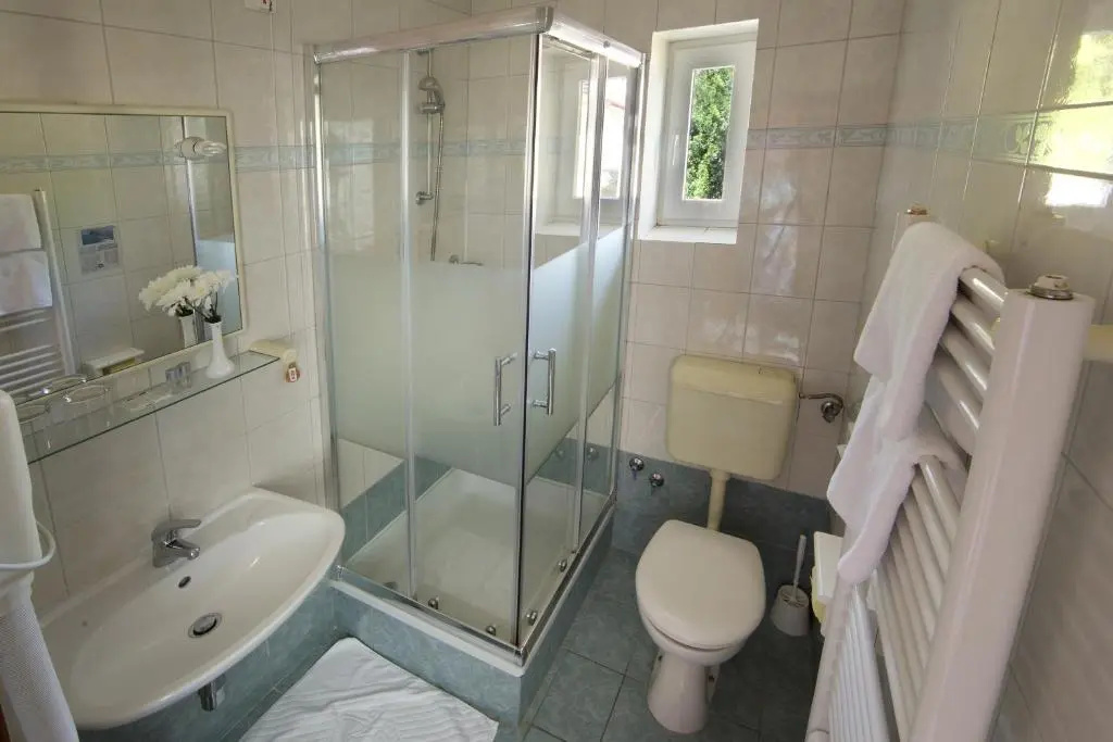 Standard Double room with mountain view (full double bed)