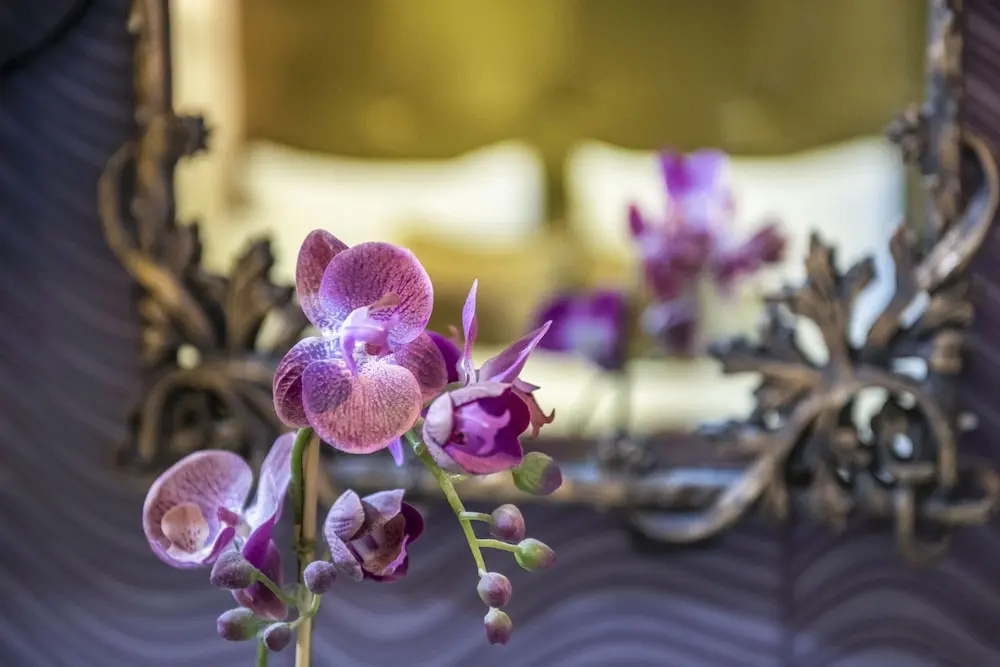 Residence Hotel Balaton - Chambres