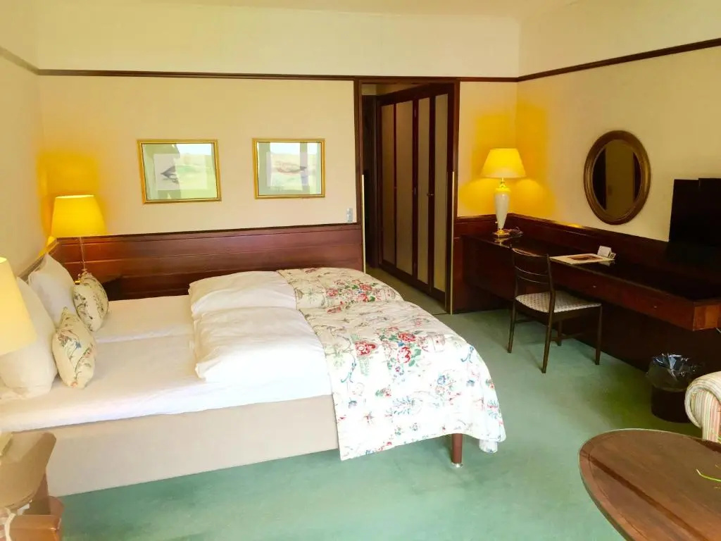 Standard Double room (full double bed)