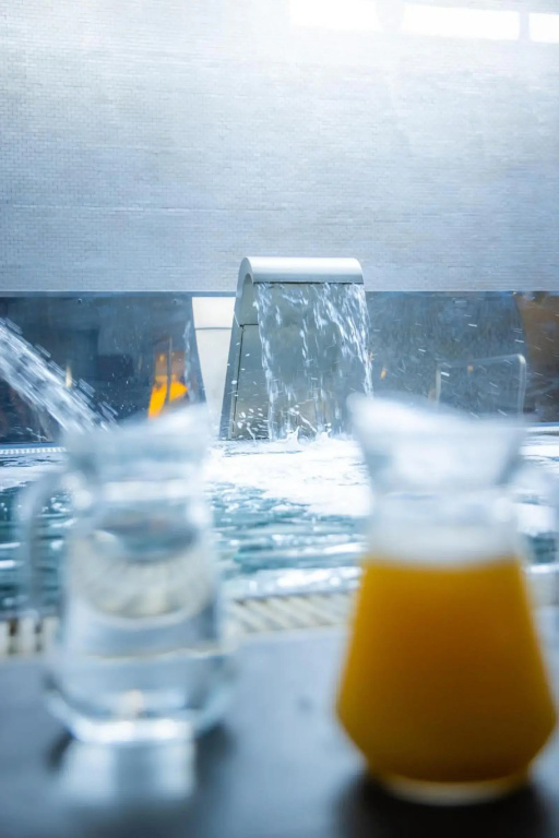 Hotel Veracruz Plaza & Spa - Général