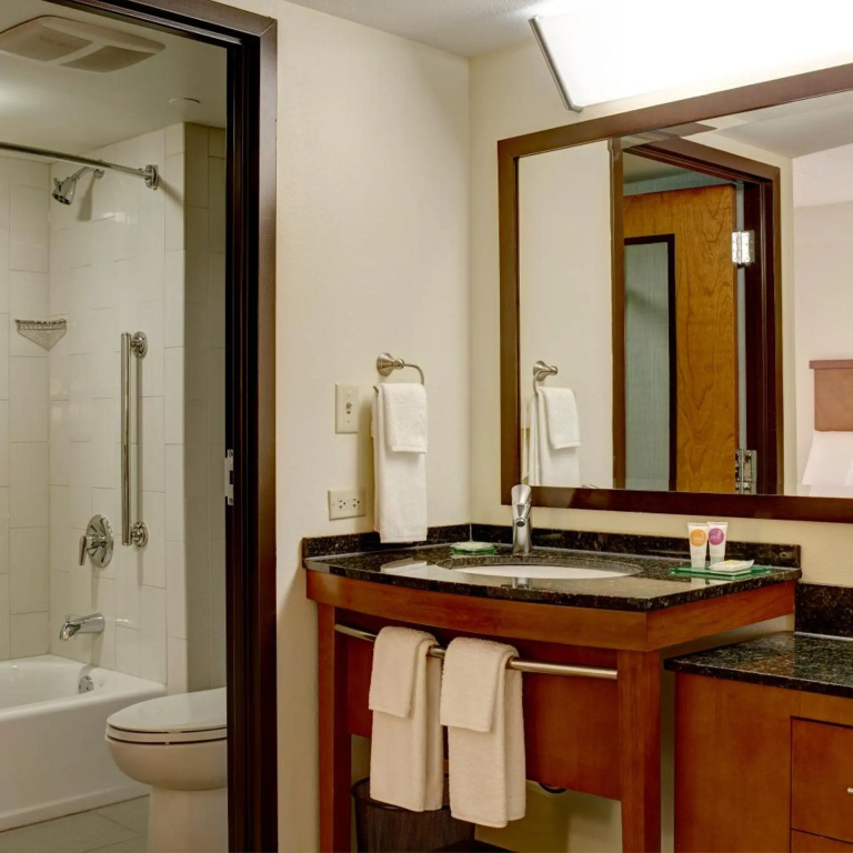 Hyatt Place Dulles Airport North - Général