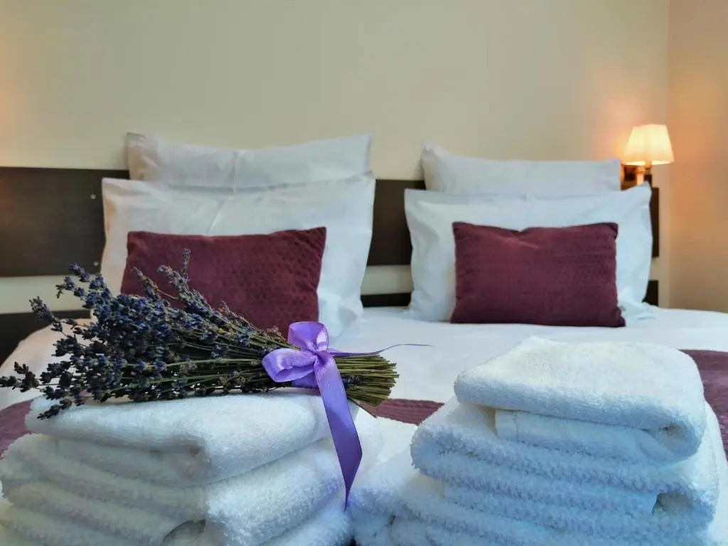 Pensiunea GreenHill - Chambres