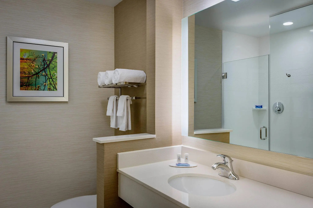 Fairfield Inn & Suites Dallas West/i-30 - Chambres