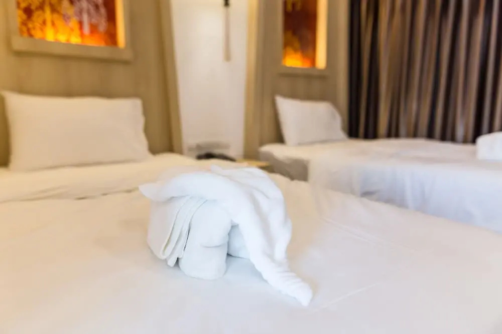 Superior Double room (twin beds)