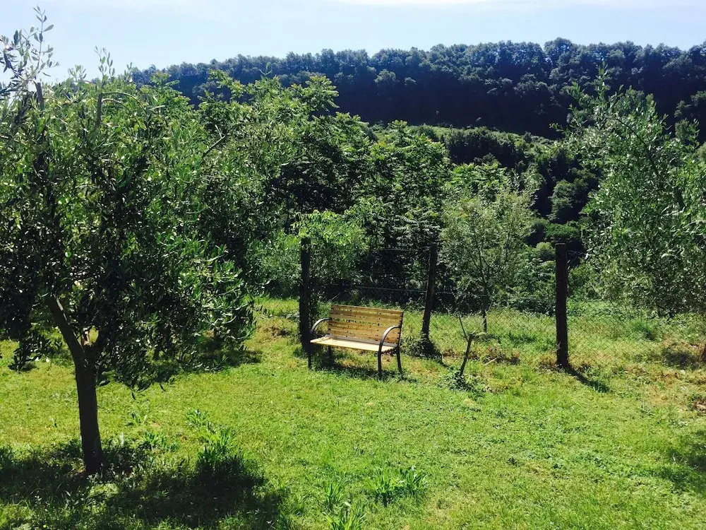 Bio Agriturismo Valle dei Calanchi