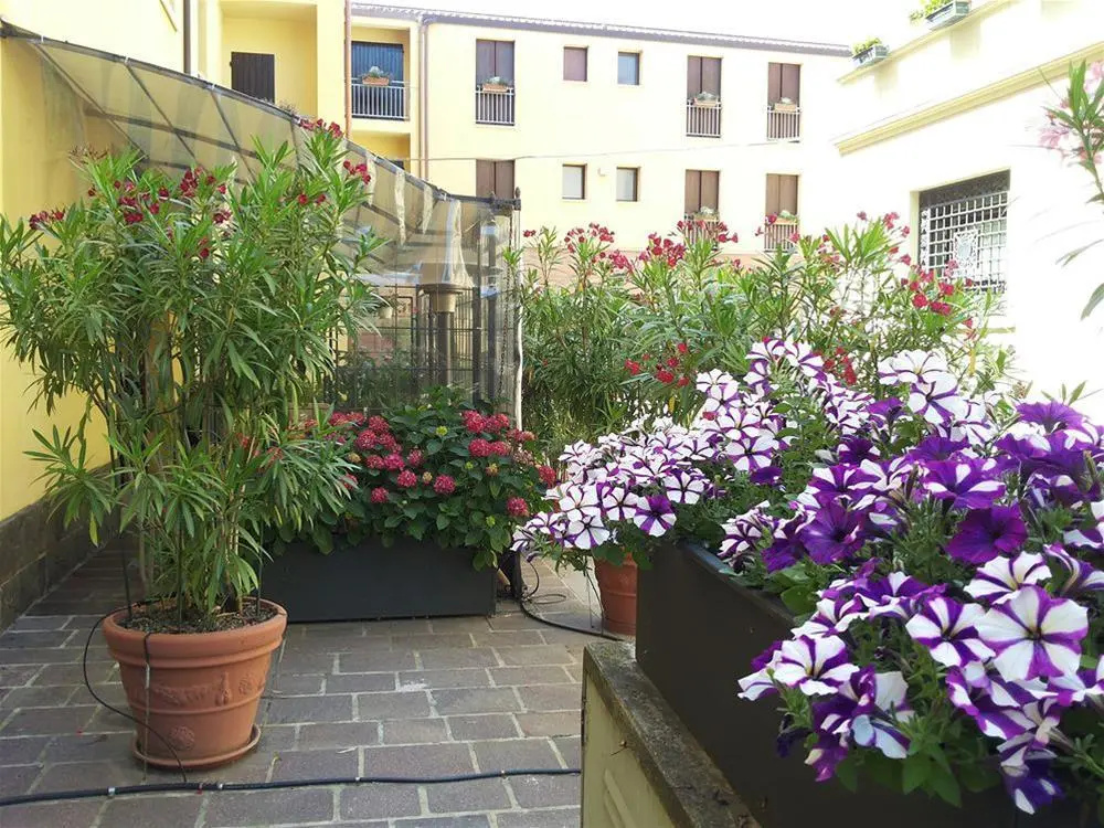 Hotel photo 12