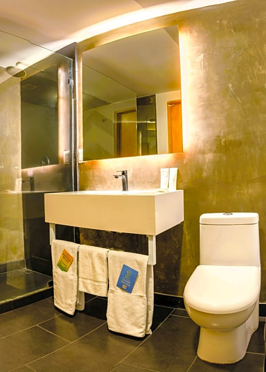 Standard Suite