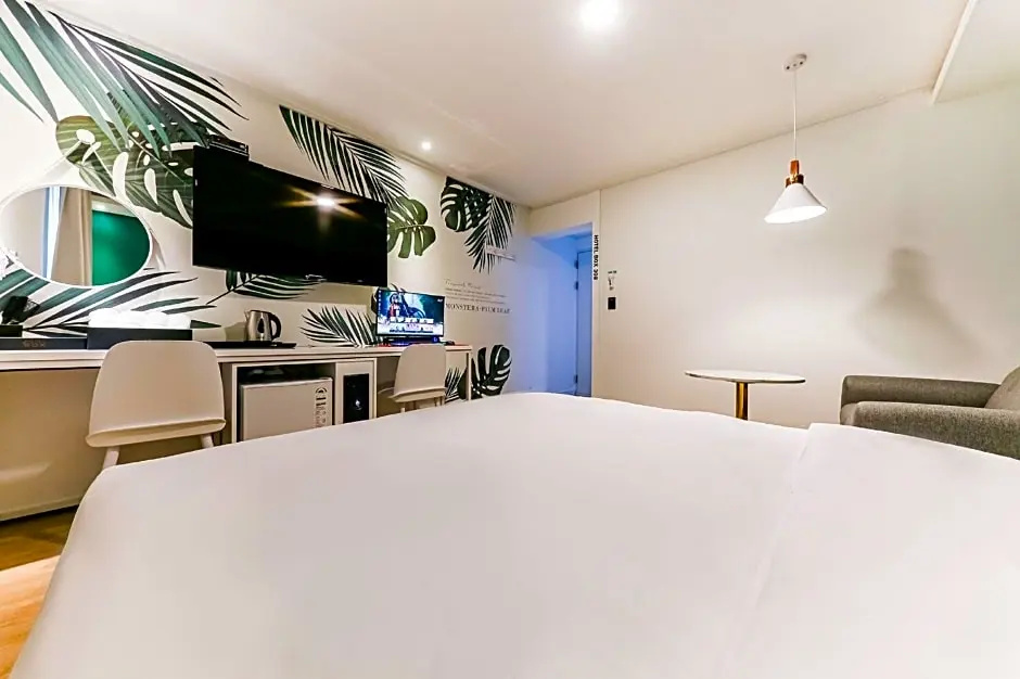 Deluxe Double room (full double bed)