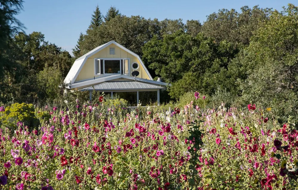 Suite with mountain view