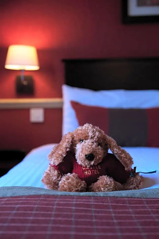 Stonefield Castle Hotel - Chambres