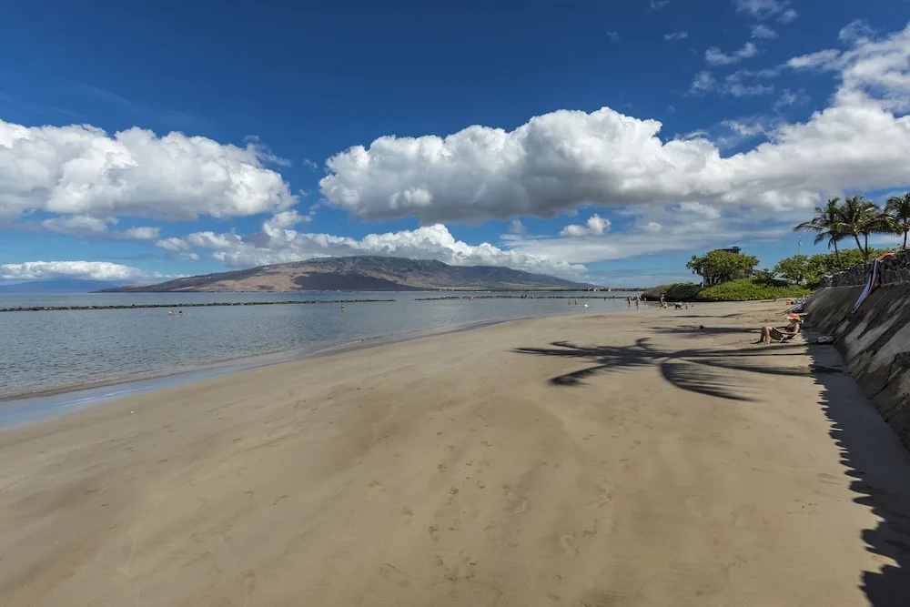Beach & Waterfront