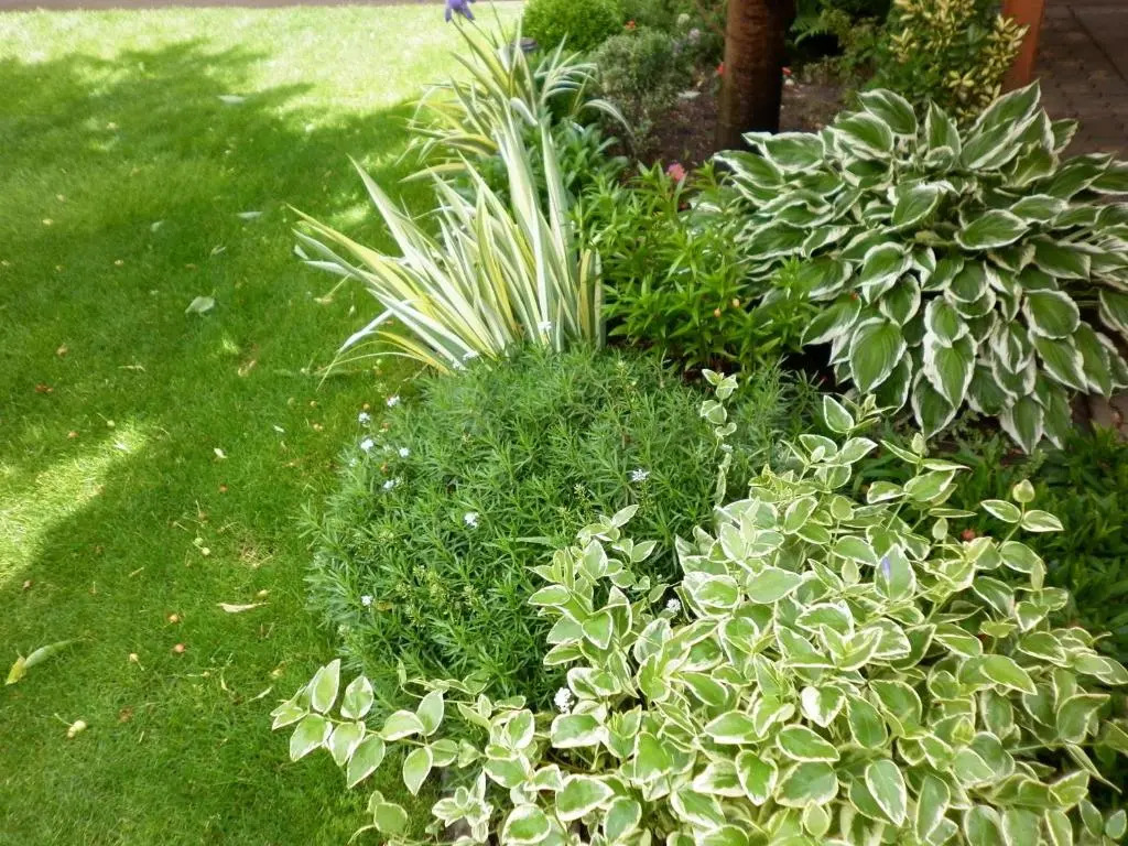 Napsugár Vendégház - фото 5