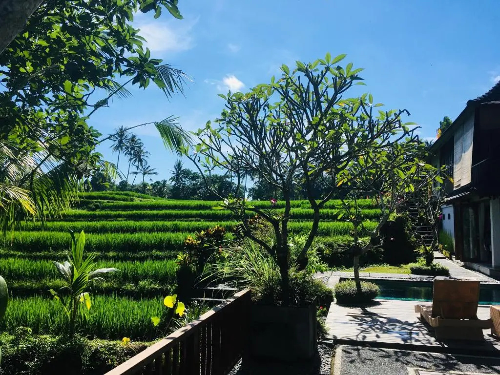 Puri Raya Villa Ubud — фото