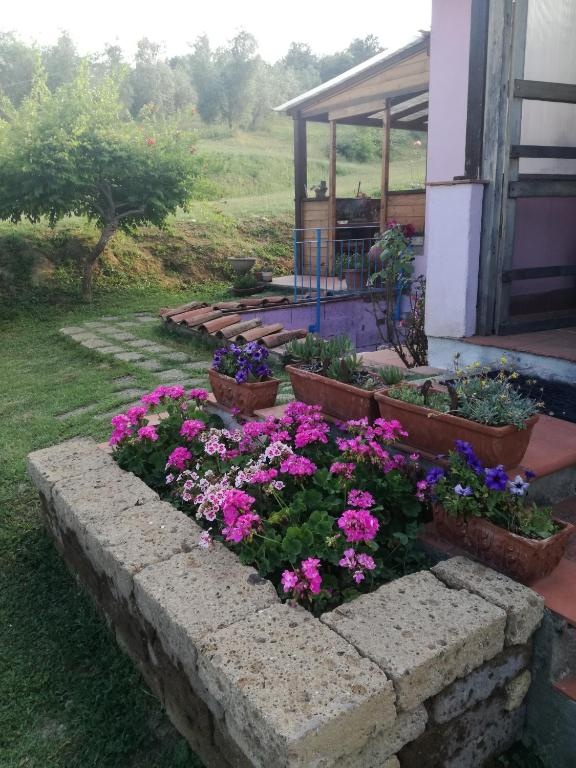 Agriturismo Campolungo