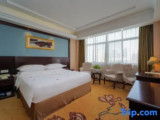 Vienna Hotel Shanghai Puong Jinqiao Park - Chambres