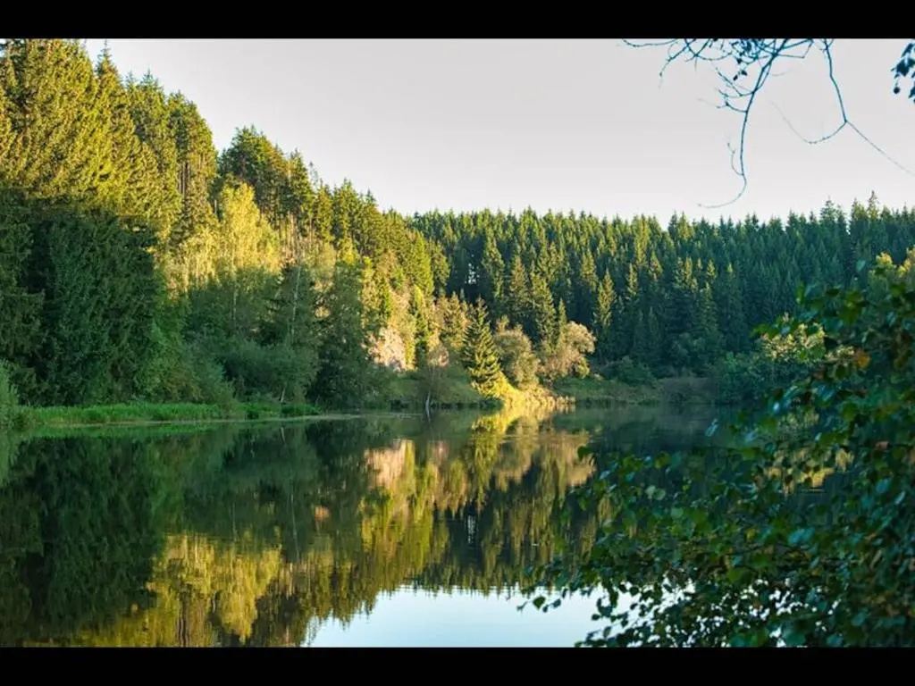 Your Holiday Home in Hasselfelde in the Harz Mountains