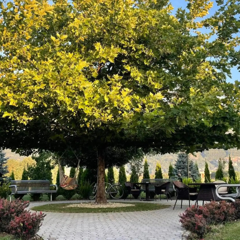 Emka Hotel Tetovo - Général