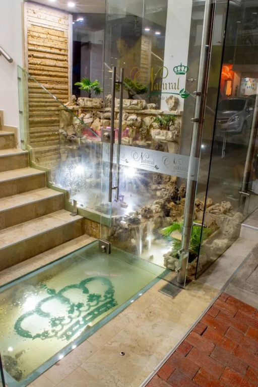 Hotel Natural De La Vega - Général