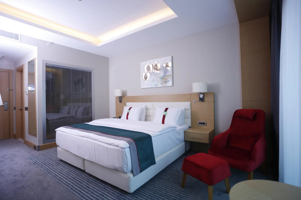 Holiday Inn Ankara - Cukurambar by IHG - Chambres