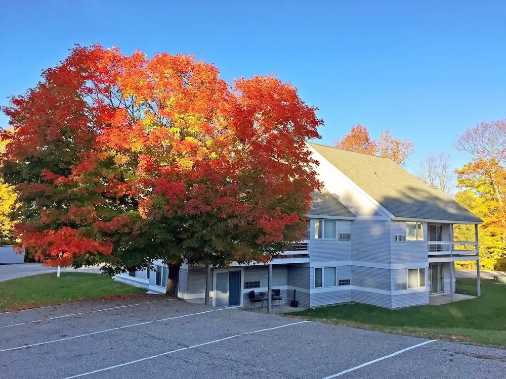 Killington Center 412