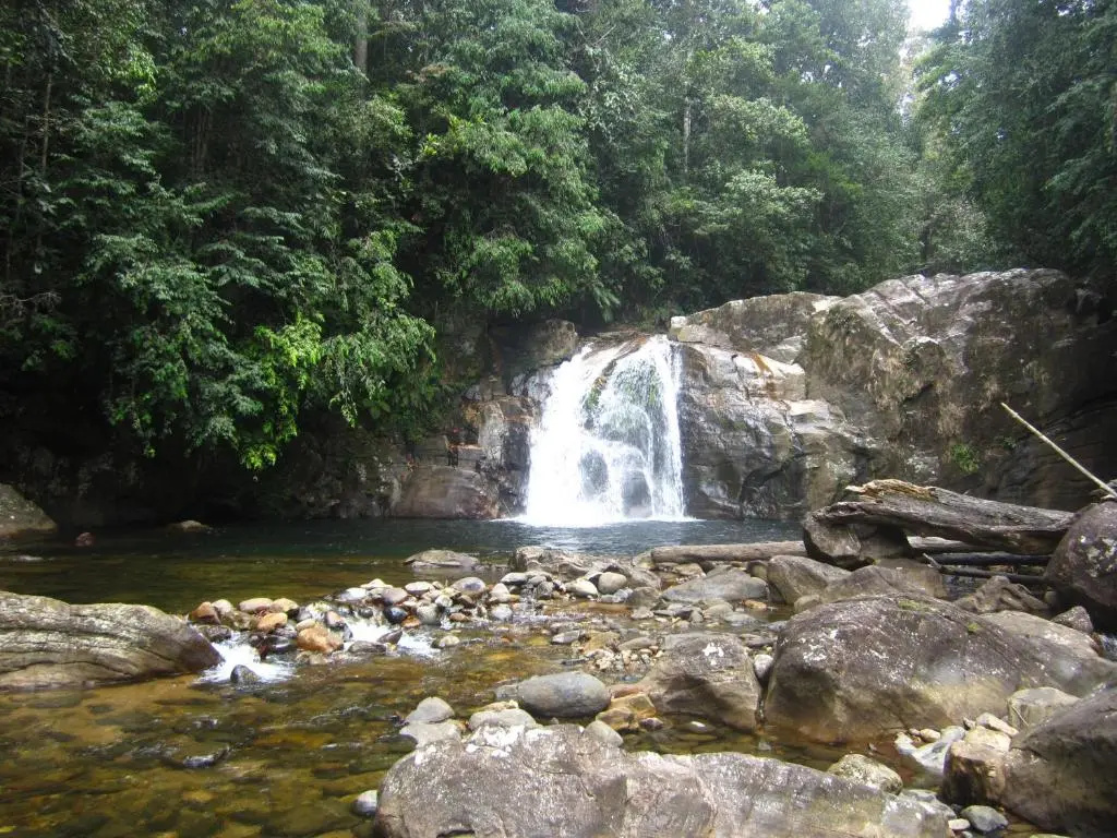 Sinharaja Rest - Chambres