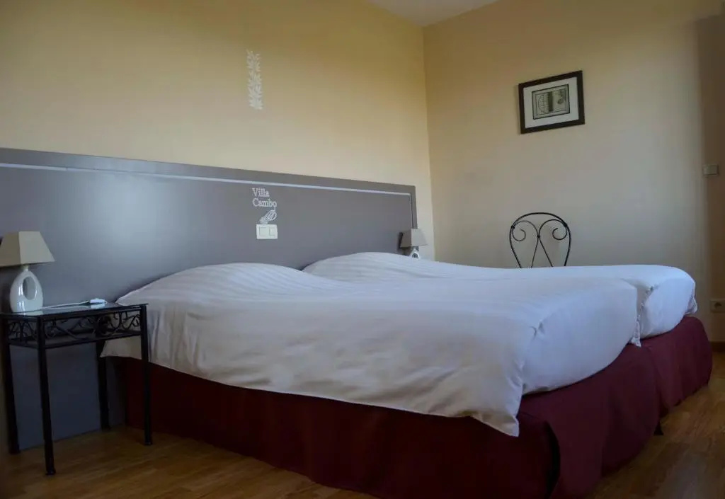 Standard Double room (twin beds)