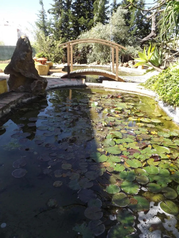 Quinta do Caracol by null