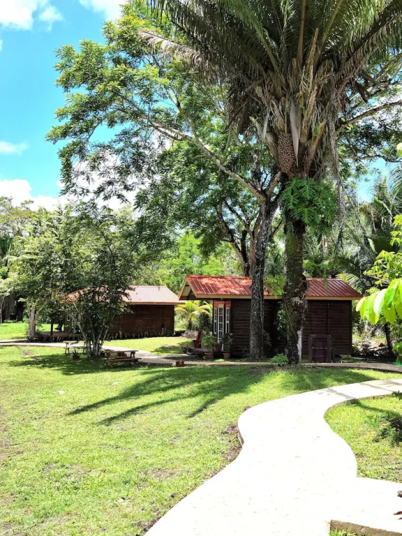 Standard Double room with garden view (full double bed)