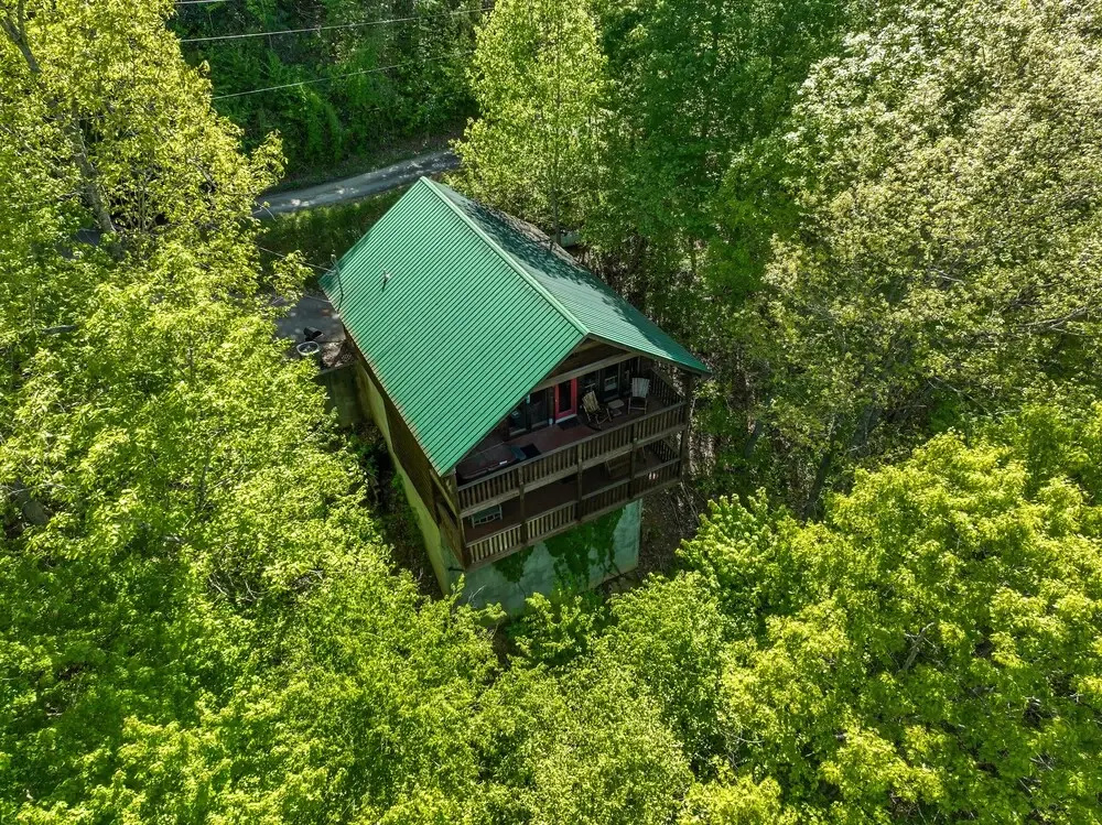 Only Dreamin' Cabin w/ Private Hot Tub