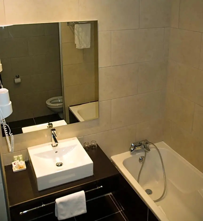 Standard Double room (twin beds)