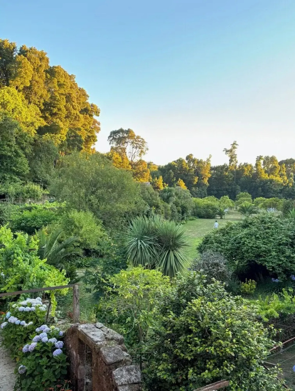 Suite with garden view
